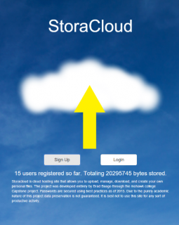 Storacloud logo